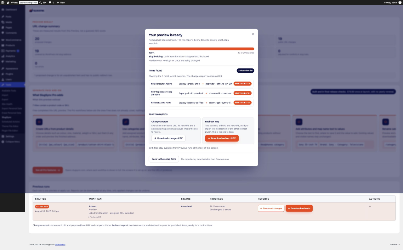 Completed SlugSync multilingual product Preview showing 20 scanned, 20 changes, zero errors and two report downloads